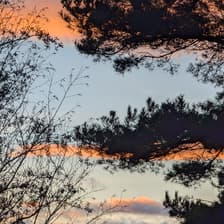 Profile picture for Nish Doshi