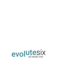 Profile picture for Evolutesix