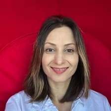 Profile picture for Parnian Lak