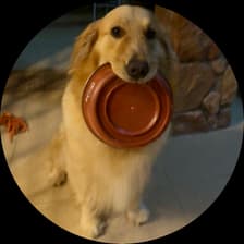 Profile picture for Cheryl