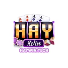 Profile picture for Haywin tech