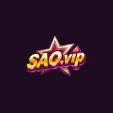 Profile picture for Saovip dev