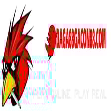 Profile picture for ĐÁ GÀ 88