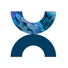 Profile picture for BWD Strategic