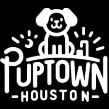 Profile picture for Dog trainer