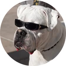 Profile picture for Pat Young