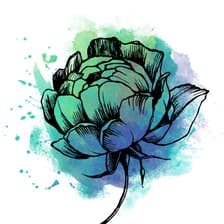 Profile picture for Stacy K Floral