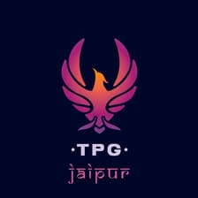 Profile picture for THE PHOENIX GUILD JAIPUR