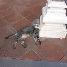 Profile picture for Osamu Ishiyama