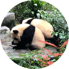 Profile picture for Chris