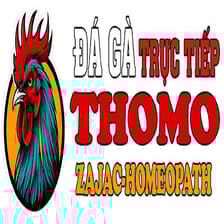 Profile picture for ĐÁ GÀ THOMO TRỰC TIẾP HÔM NAY TẠI CAMPUCHIA