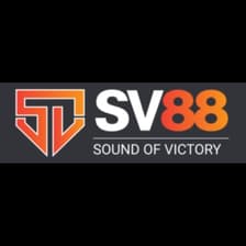 Profile picture for SV88