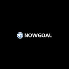 Profile picture for Nowgoal capital