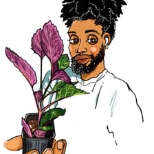 Profile picture for Robert Jeffery