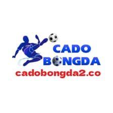 Profile picture for CÁ ĐỘ BÓNG ĐÁ