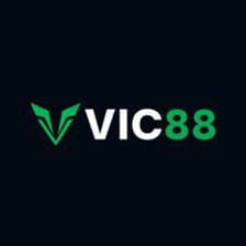 Profile picture for Vic88