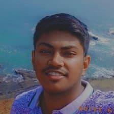 Profile picture for Ameya Upalanchi
