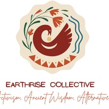 Profile picture for Earthrise Collective