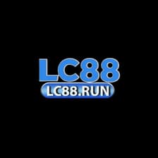 Profile picture for LC88 run