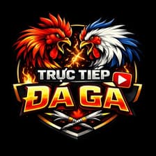 Profile picture for Trực Tiếp Đá Gà