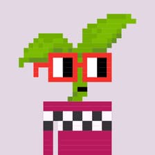 Profile picture for BorrowLucid | Chones