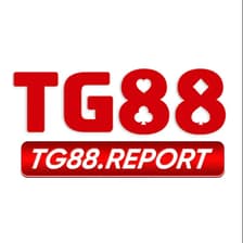 Profile picture for TG88 report