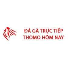 Profile picture for Đá gà Thomo
