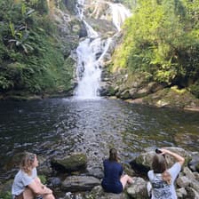 Profile picture for TV PALM