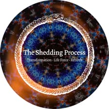Profile picture for The Shedding Process