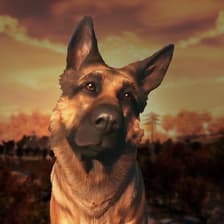 Profile picture for Jason Xu