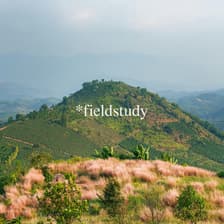 Profile picture for field study coffee