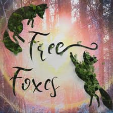Profile picture for Free Foxes Improv