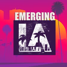 Profile picture for Emerging LA