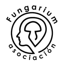 Profile picture for Asociación Micológica Fungarium