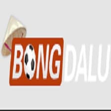 Profile picture for Bongdalu