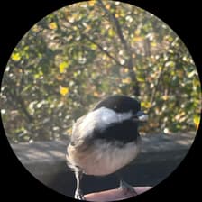 Profile picture for Jess B