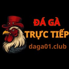 Profile picture for Daga01
