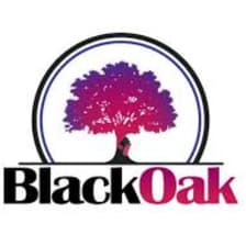 Profile picture for BlackOak Collective
