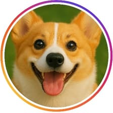 Profile picture for OGAWA