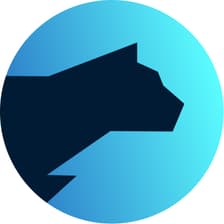 Profile picture for Lightrun |