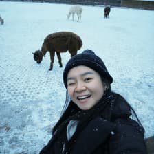 Profile picture for Jenell Goh Qian Hui