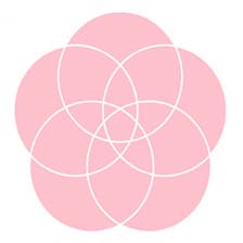 Profile picture for Asian Women Coaching Collective