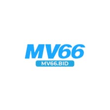 Profile picture for MV66 BID