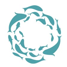 Profile picture for The Shoal Co.