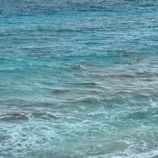 Profile picture for Elaina