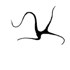 Profile picture for les éditions MMYOPE