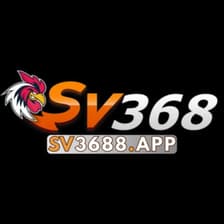 Profile picture for SV368