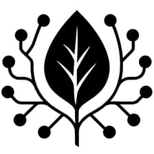 Profile picture for CAIS