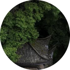 Profile picture for Rachamallu Vibhas Reddy