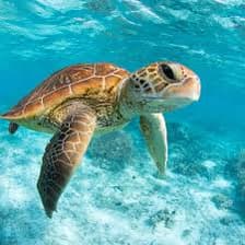 Profile picture for Craig